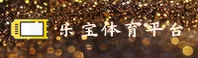 使用指南与常见问题